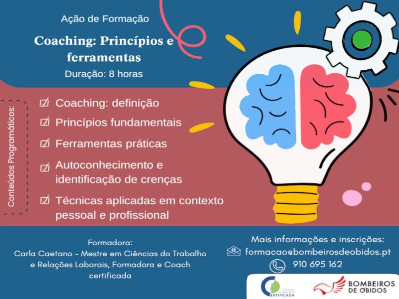Coaching - Princípios e Ferramentas 8h