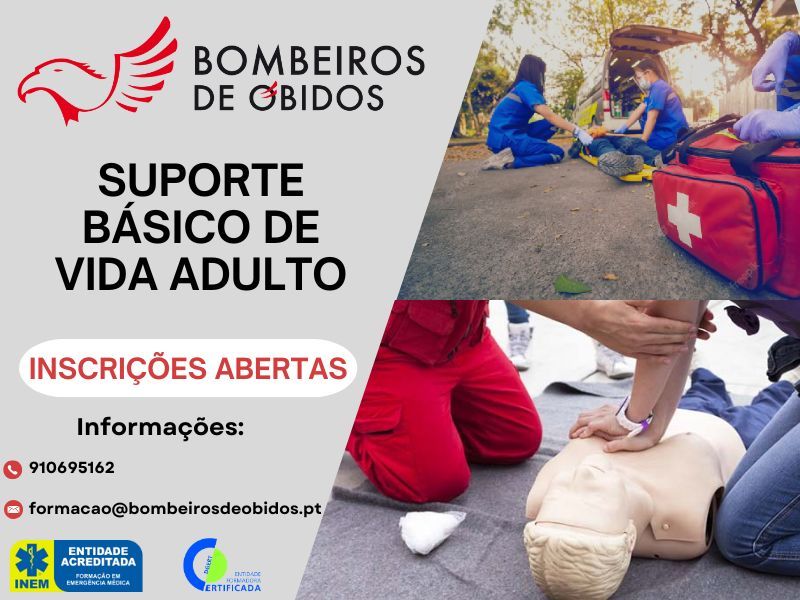 Curso de Suporte Básico de Vida Adulto